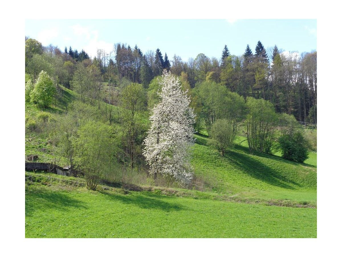 Aussicht Balkon Frühjahr/ Horn Lounge