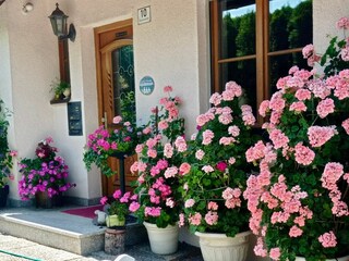 Vakantieappartement Sigmarszell Buitenaudio-opname 8