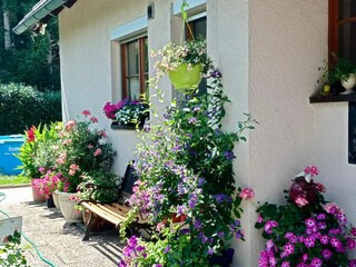 Apartamento de vacaciones Sigmarszell Grabación al aire libre 9