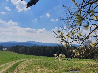 Casa per le vacanze Bärenstein Ambiente 33