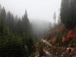 Vakantiehuis Bärenstein Omgeving 30