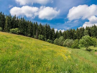 Casa per le vacanze Bärenstein Ambiente 31