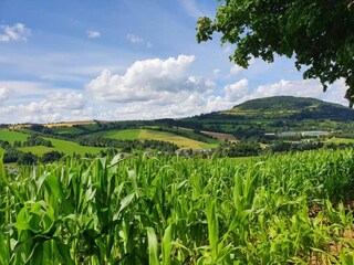 Ferienhaus Bärenstein Umgebung 37