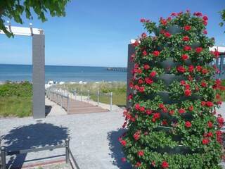 Impressionen von der wunderschönen Strandpromenade