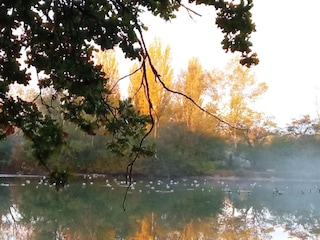 Casa de vacaciones Gargas Entorno 26