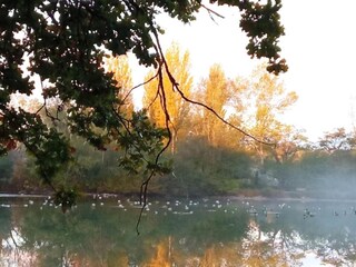 Casa per le vacanze Gargas Ambiente 29