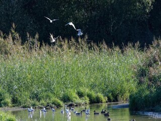 Vakantiehuis Gargas Omgeving 32