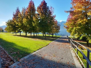 Apartment Luino Umgebung 27