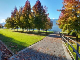 Apartment Luino Umgebung 28