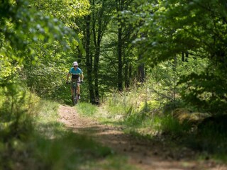 Vakantiehuis Amersfoort Omgeving 33