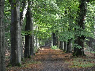 Holiday house Amersfoort Environment 37