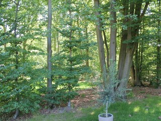 Vakantiehuis Amersfoort Buitenaudio-opname 12