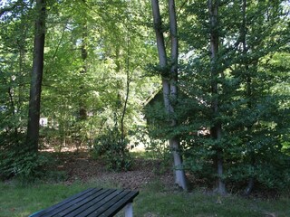 Vakantiehuis Amersfoort Buitenaudio-opname 13