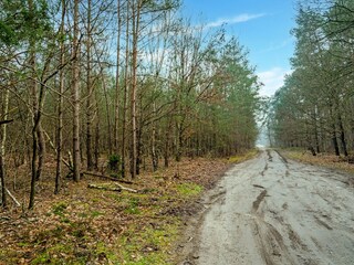 Vakantiehuis Hellendoorn Omgeving 25