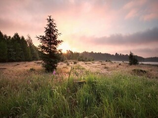 Casa per le vacanze Ruinerwold Ambiente 13