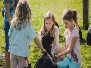 Casa per le vacanze Ruinerwold  19