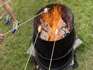 Vakantiehuis Ruinerwold  17