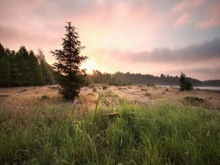 Maison de vacances Ruinerwold Environnement 14