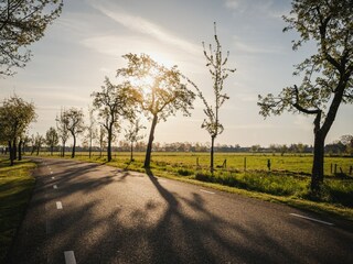 Vakantiehuis Ruinerwold Omgeving 16