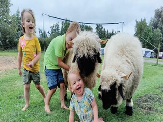 Vakantiehuis Ruinerwold  19