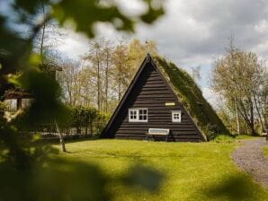 Maison de vacances Cabane de terre Drenthe unique avec terrasse à Ruinerwold - Monde des Ruines - image1