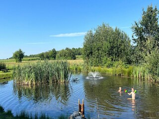 Vakantiehuis Ruinerwold Buitenaudio-opname 2