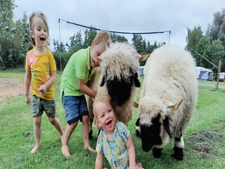 Maison de vacances Ruinerwold  13