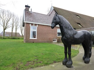 Ferienhaus Harkema Umgebung 17