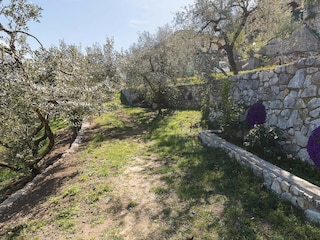 Appartement Tignale Environnement 42