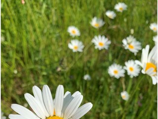 Appartamento per vacanze Cadzand-Bad Ambiente 13