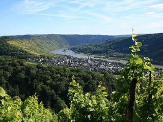 Apartamento de vacaciones Enkirch Entorno 11