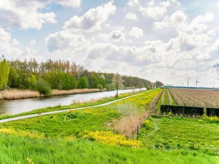 Maison de vacances Ermelo Environnement 36