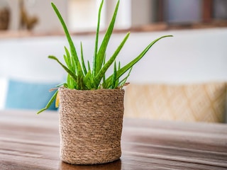 Holiday house Ermelo  39