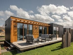 Lodge confortable avec airco, dans un parc de vacances près du Grevelingenmeer - Scharendijke - image1