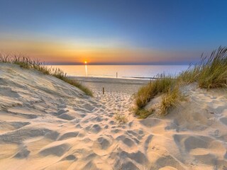 Vakantiepark Scharendijke Omgeving 13