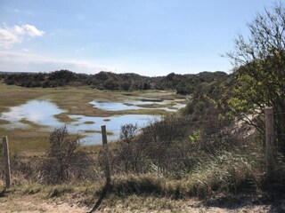 Ferienpark Scharendijke Umgebung 27