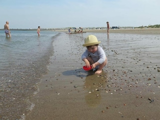 Vakantiepark Scharendijke Omgeving 11