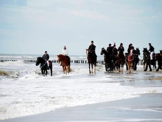 Vakantiepark Scharendijke Omgeving 22