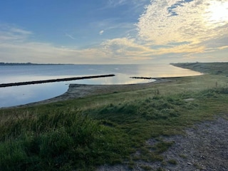 Vakantiepark Scharendijke Omgeving 24