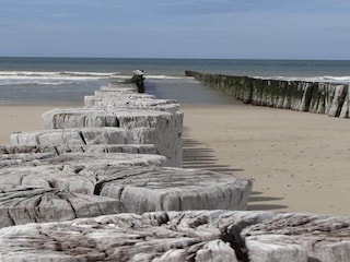 Vakantiepark Scharendijke Omgeving 31