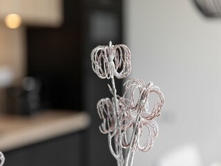 Parc de vacances Scharendijke  22