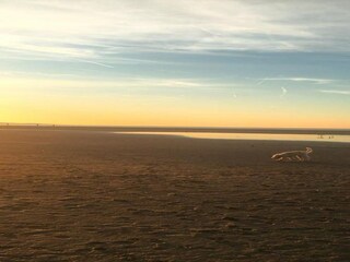 Vakantiepark Scharendijke Omgeving 21