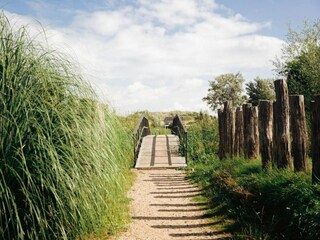 Vakantiepark Scharendijke Omgeving 26