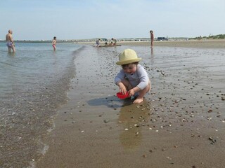 Vakantiepark Scharendijke Omgeving 16