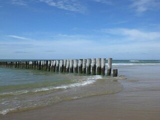 Ferienpark Scharendijke Umgebung 35
