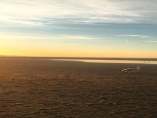 Vakantiepark Scharendijke Omgeving 15