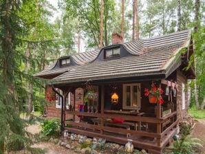 Vakantiehuis niet ver van het strand in Debki - Czarny Mlyn - image1