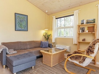 Vakantiehuis Læsø  3