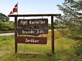 Holiday house Fjand  16