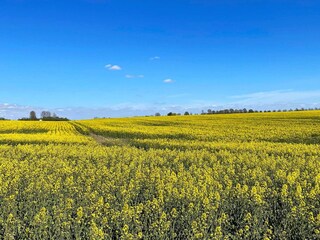 Vakantiehuis Glemmingebro Buitenaudio-opname 3